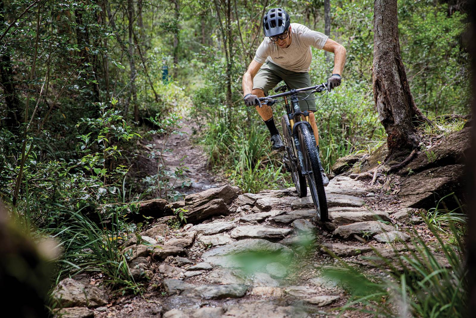 case mountain bike trails