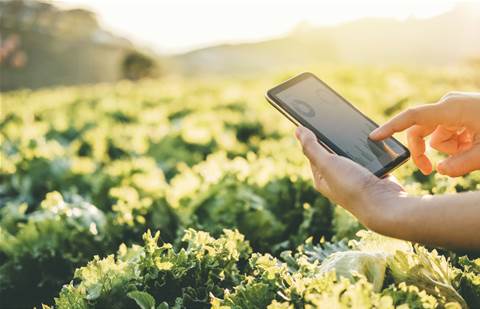 Optus to trial rural satellite voice tech with Federal Government