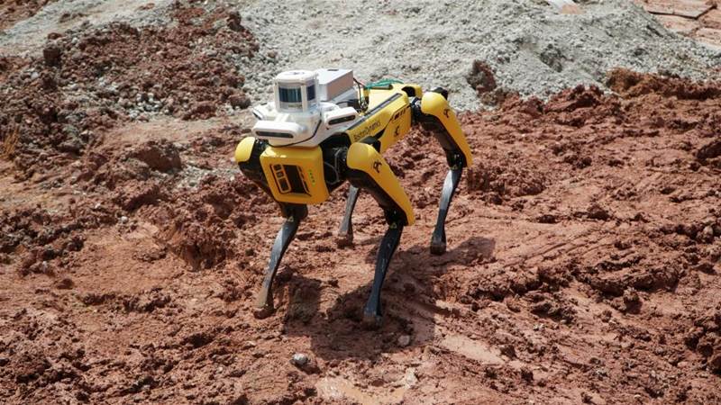 Singapore's robot workforce plugs labour gaps