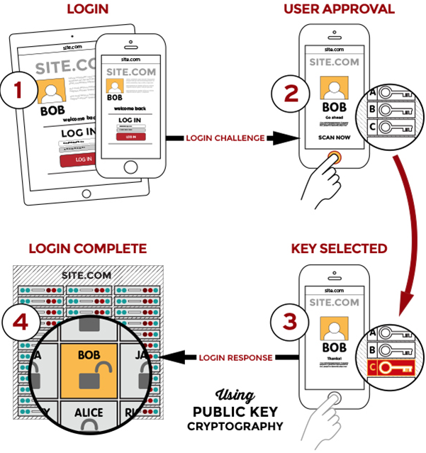 World's Largest Tech Companies Drive FIDO Alliance's New User Experience  Guidelines - FIDO Alliance