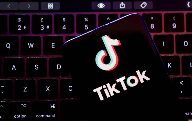 TikTok likely to obtain Indonesian e-commerce permit: State media