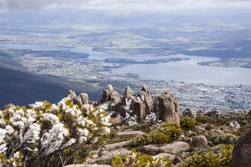 Harnessing data for a nature-positive future