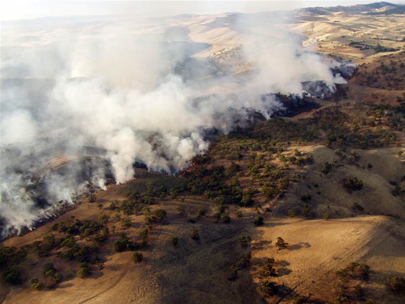 How Meshed used IoT to help NSW Parks & Wildlife Service improve bushfire risk mitigation