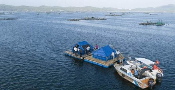 Vietnam universities develop sea water monitoring IoT system