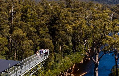 TasmaNet scores connectivity grant for two Tassie icons