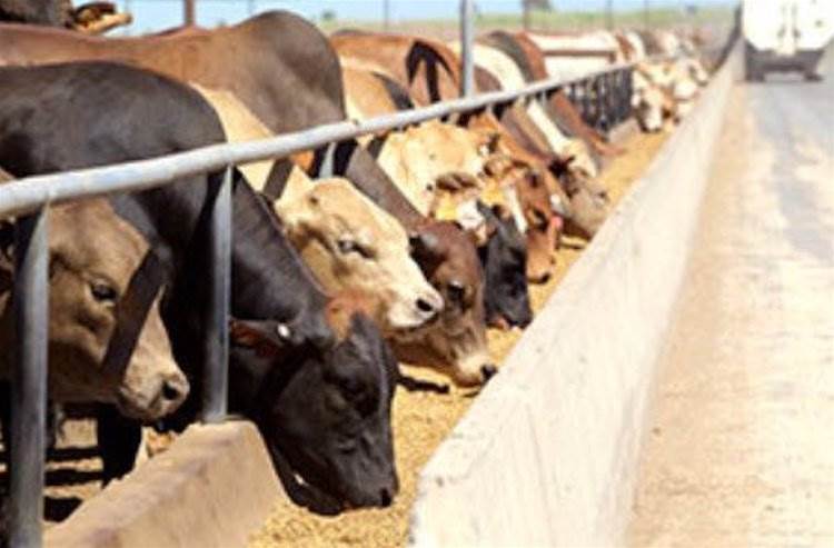 Aussie meat industry to test autonomous drones