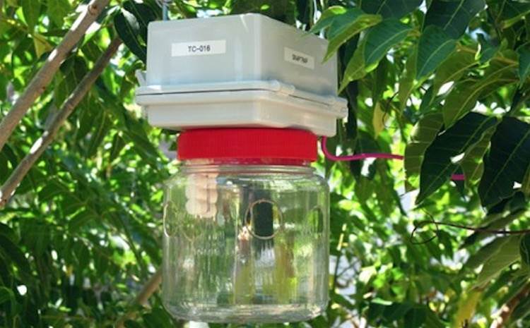 SproutX: making things smarter down on the farm