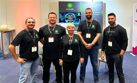 Avocado Consulting's journey: from a McDonald's to beating multinationals for contracts