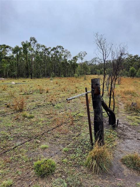 Apple pulls out of Upper Burdekin wind farm project