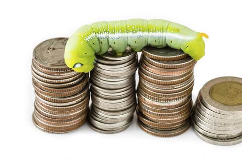 Apple extends bug bounty, boosts rewards to US$1m