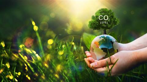 MSP Blue Connections IT achieves carbon neutral certification