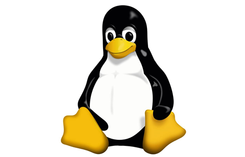 Linux 5.0 debuts &#8211; which means absolutely nothing