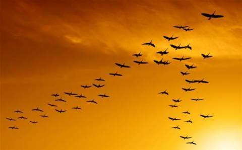 Ingram Micro, BitTitan sling free cloud migration licenses to partners