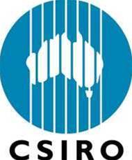 CSIRO seeks AI and digital tech SMEs for R&D program