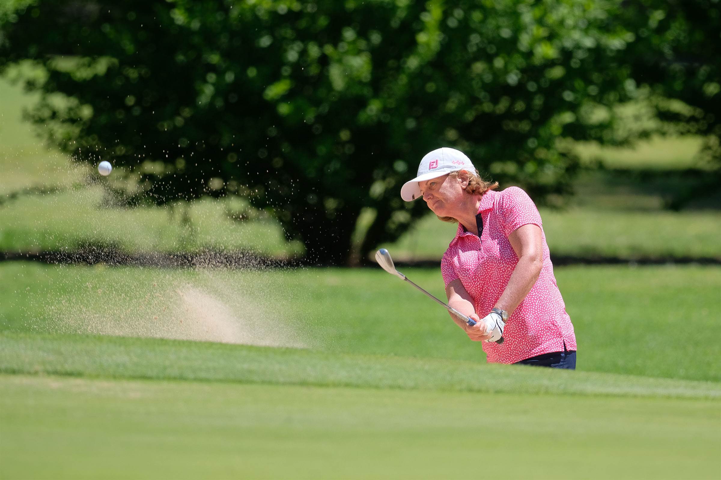 NSW Senior Amateur Championships set for the Shoalhaven - Golf ...