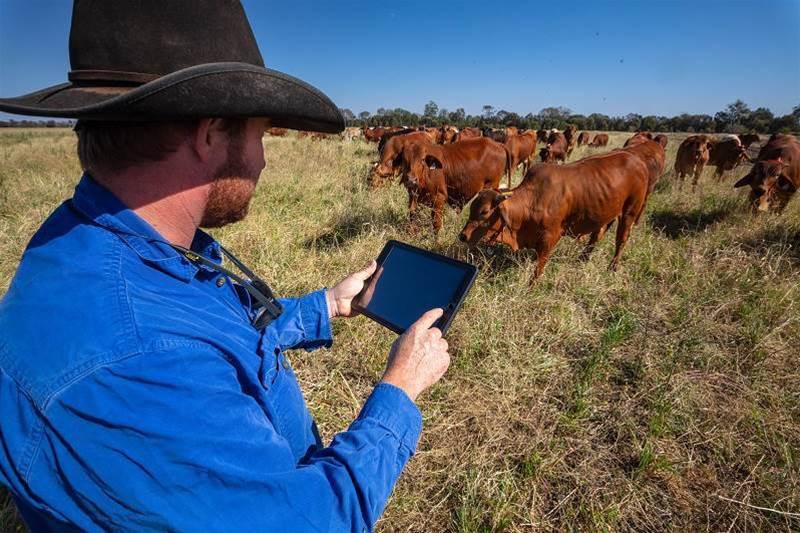 The Food & Agribusiness finalists in the 2020 IoT Awards