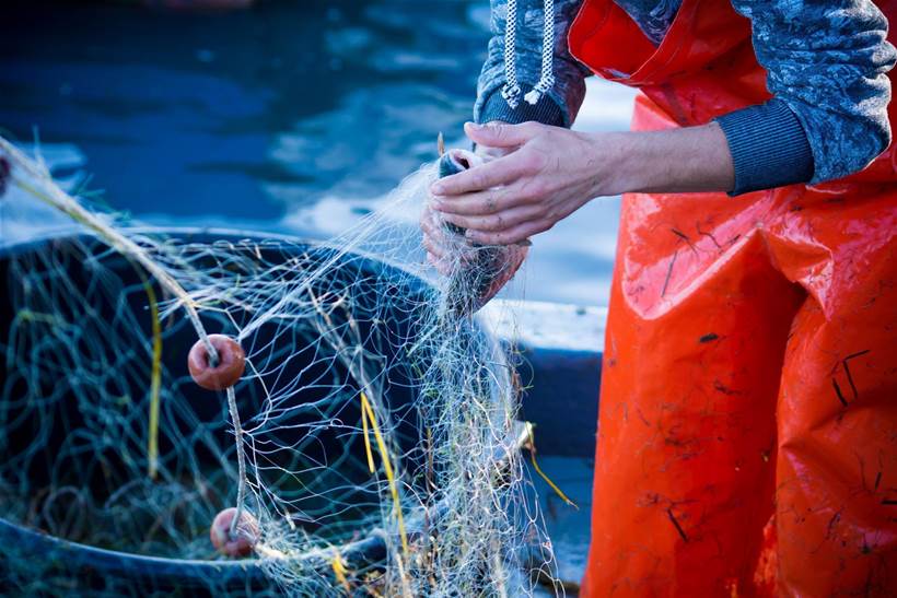 Sydney Fish Market in "bait to plate" fish tracking project