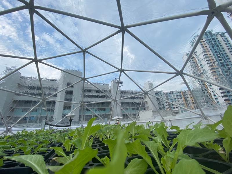 Singapore&#8217;s SPTel helps farmers go digital