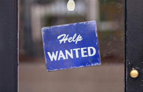 Tech sector defies slowing job market