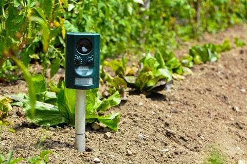 Best Technology Services harvests data for agriculture data analytics firm The Yield