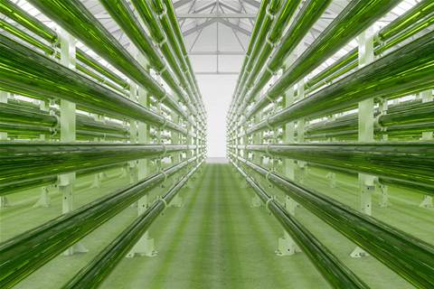 Microsoft invests US$50 million in alcohol-to-jet fuel biorefinery