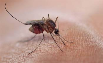 Monash Uni taps cloud to eradicate malaria