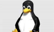 Double delight for Linux lovers as kernel 5.2 and Debian 10 debut