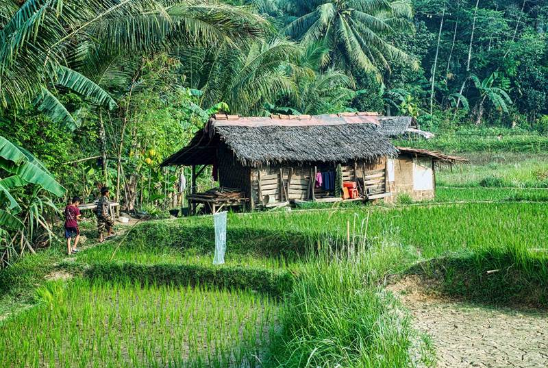 Indonesia set to connect 2,700 villages nationwide with 4G technology