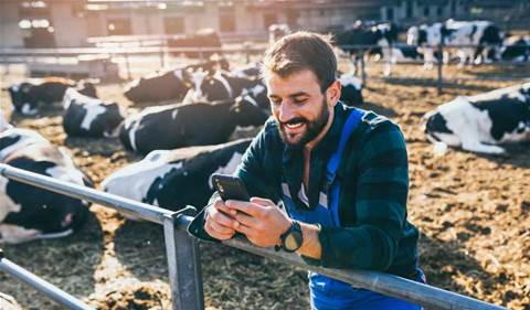 Silver Fern Farms goes with Oracle for HR-ware