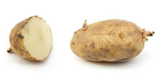 Potato farmer trials Vodafone 'hub' to boost connectivity
