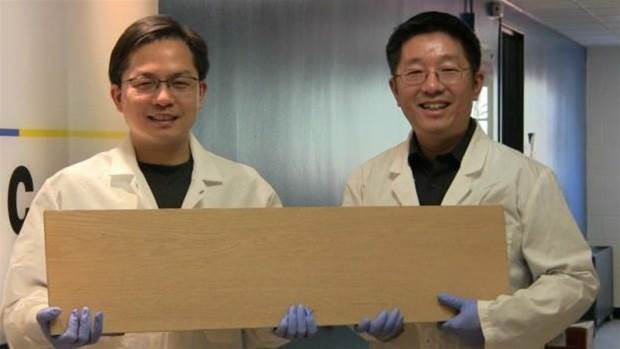 Scientists have just made wood that is as strong as steel ImageResizer.ashx?n=https%3a%2f%2fi.nextmedia.com.au%2fNews%2fscientists_develop_wood_stronger_than_steel