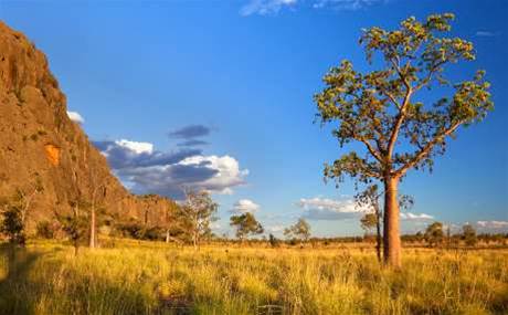 QLD council hunts for MSP and cyber security services