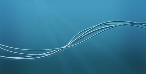 Firmus becomes cornerstone customer of SUBCO's trans-Pacific submarine cable
