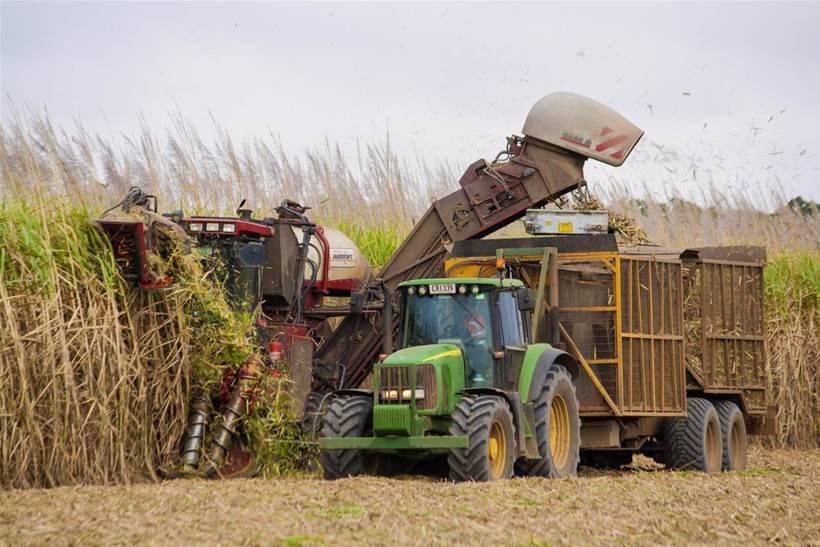 Queensland sugarcane body trials KPMG blockchain platform