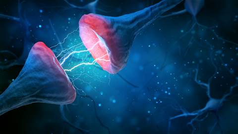 Chip designer mimicking brain, backed by Sam Altman, gets $25 million funding
