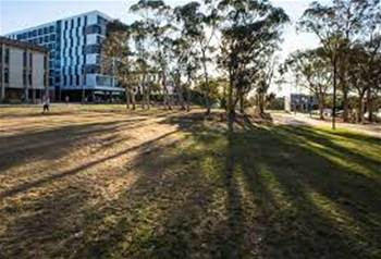 Canberra Üniversitesi, bir sonraki CIO olarak Matt Carmichael'ı seçti