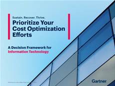 Identify your top cost optimization initiatives for IT