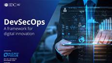 DevSecOps: A framework for digital innovation