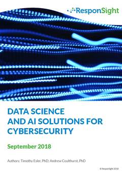 Data Science and AI Solutions for Cybersecurity