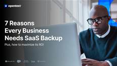 1 in 3 companies lose SaaS data. Here’s how to prevent it