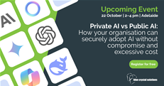 Private AI vs Public AI: How your organisation can securely adopt AI without compromise and excessive cost