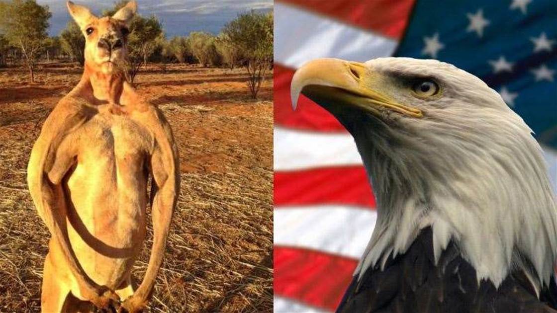 Australia Vs Usa - Australia vs United States: Cost of Living