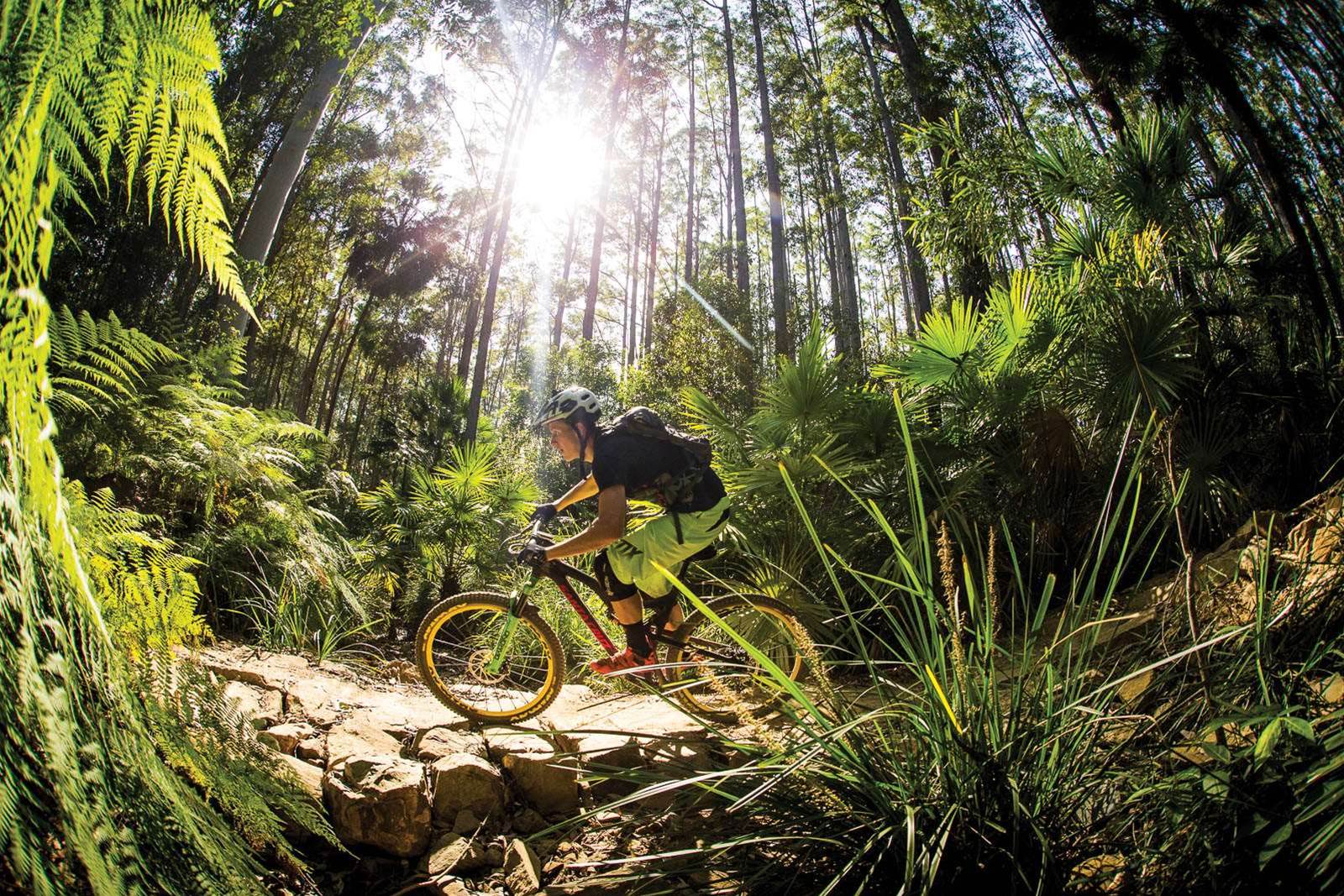 wooroi mountain bike trails