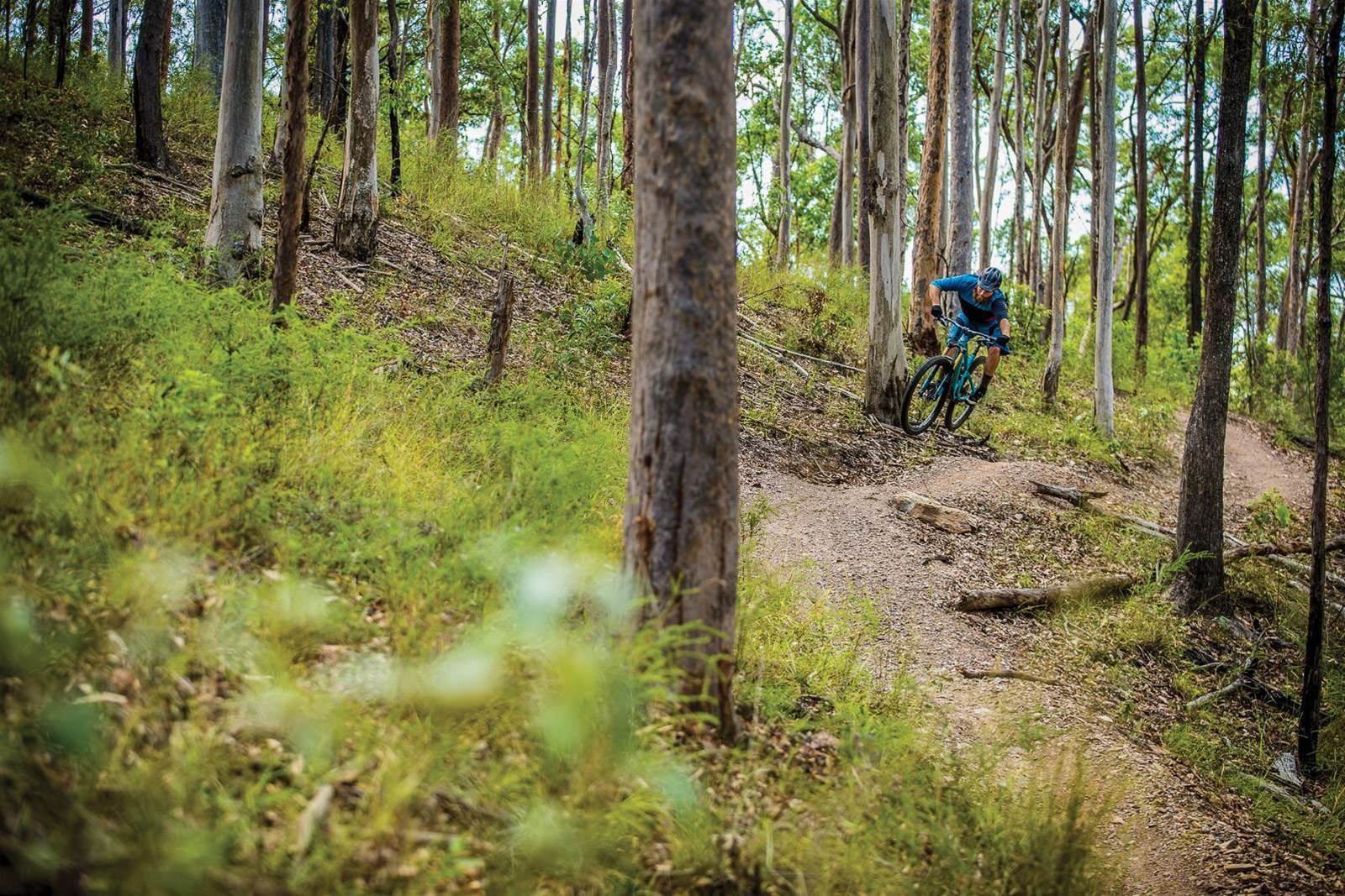 ironbark gully mountain bike trails