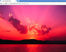 This image contained ZeusVM money-stealing code