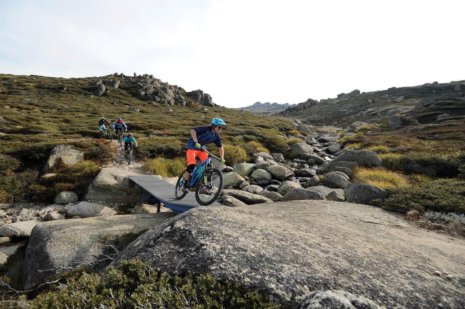 AMB Alpine Guide - Australian Mountain Bike  The home for 