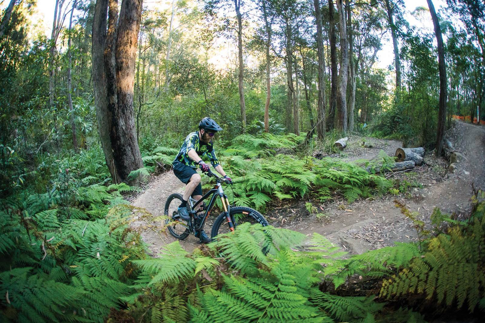 PTR: Old Man's Valley, Hornsby, NSW - Australian Mountain Bike | The ...