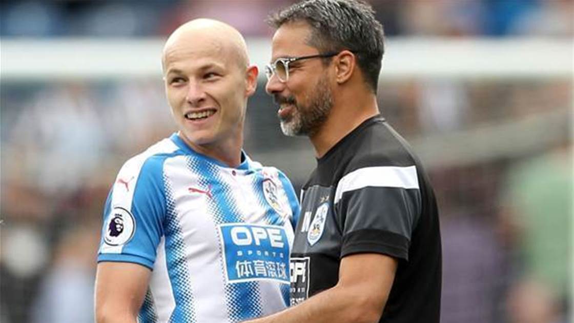 Image result for mooy wagner