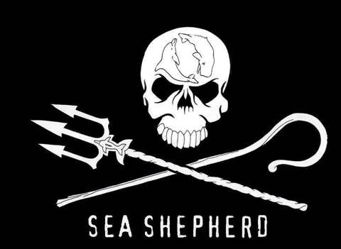 Image result for sea shepherd