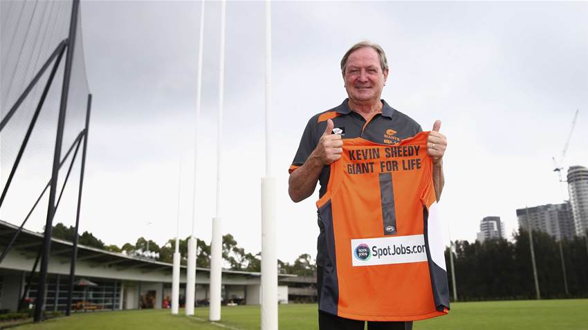 Sheed-enfreude Sheed-enfreude